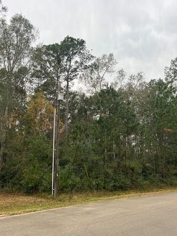 27702 Colapis Drive, Splendora, TX 77372