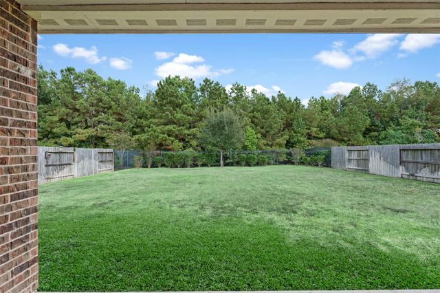 25010 Coperti Lane, Spring, TX 77386