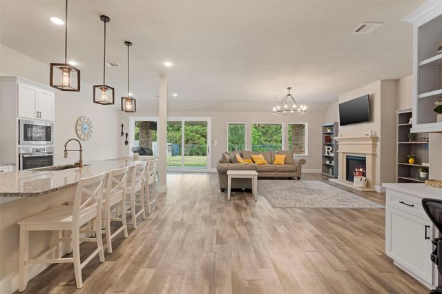 25010 Coperti Lane, Spring, TX 77386