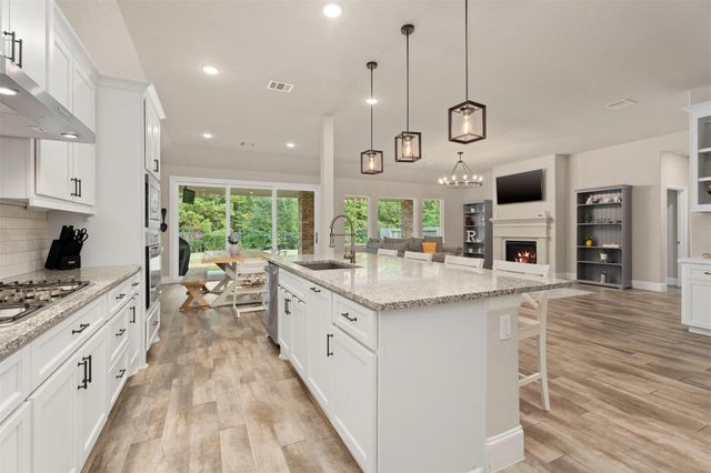 25010 Coperti Lane, Spring, TX 77386
