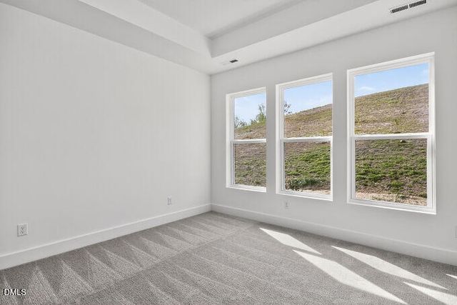 120 Tantara Bend, Pittsboro, NC 27312