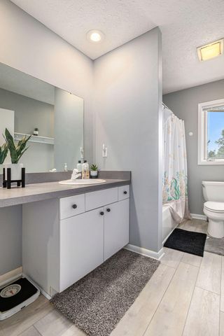 15195 Waterloo-Munith Road, Waterloo Twp, MI 49240