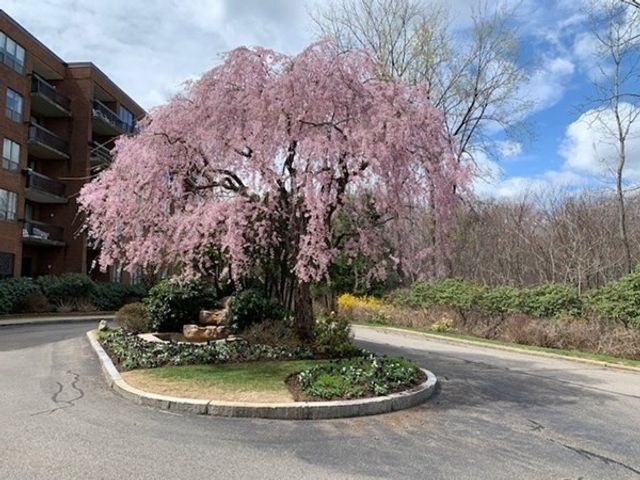 210 Nahanton St 520, Newton, MA 02459