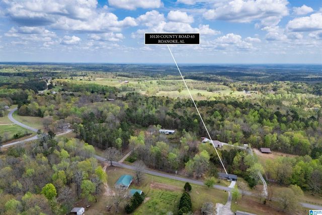 10120 COUNTY ROAD 65, Roanoke, AL 36274