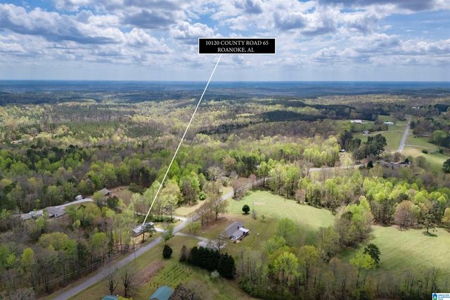 10120 COUNTY ROAD 65, Roanoke, AL 36274