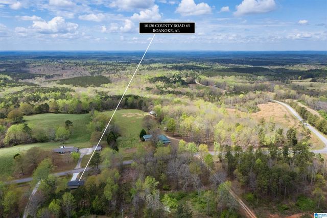 10120 COUNTY ROAD 65, Roanoke, AL 36274