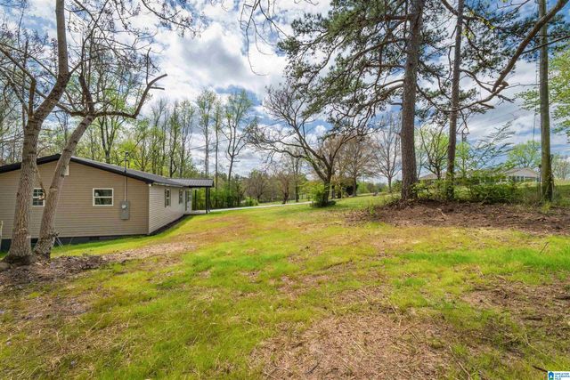 10120 COUNTY ROAD 65, Roanoke, AL 36274