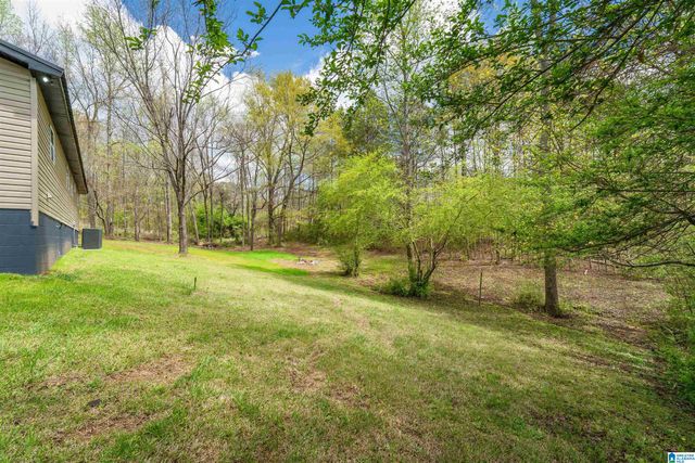 10120 COUNTY ROAD 65, Roanoke, AL 36274