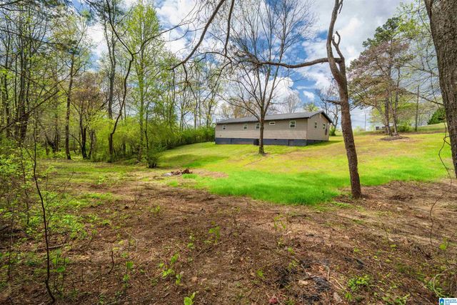 10120 COUNTY ROAD 65, Roanoke, AL 36274