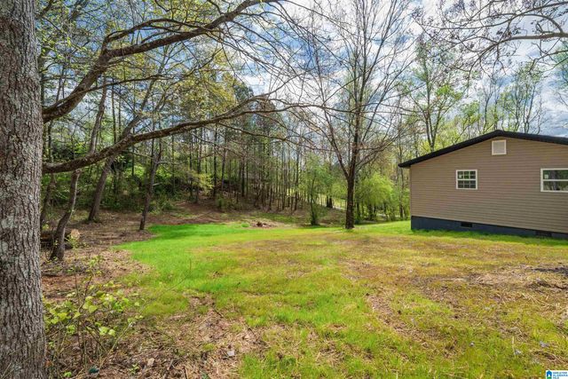 10120 COUNTY ROAD 65, Roanoke, AL 36274
