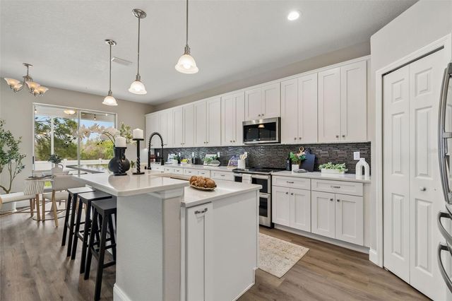 3313 CHESSINGTON DRIVE, Land O Lakes, FL 34638