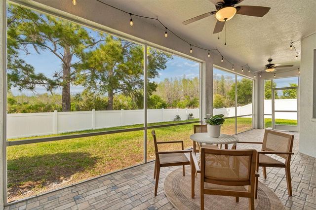 3313 CHESSINGTON DRIVE, Land O Lakes, FL 34638