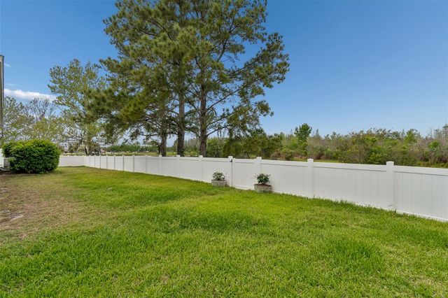 3313 CHESSINGTON DRIVE, Land O Lakes, FL 34638