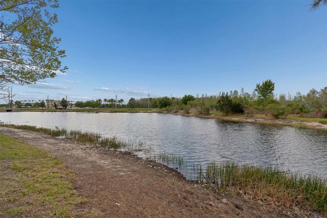 3313 CHESSINGTON DRIVE, Land O Lakes, FL 34638