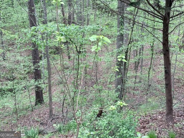 121 Killdeer Lane, Monticello, GA 31064