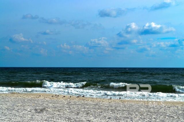 957 WEST BEACH Boulevard 1301, Gulf Shores, AL 36542