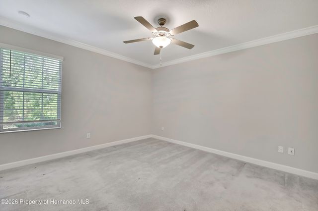 16663 Shell Bay Drive, Land O'lakes, FL 34638