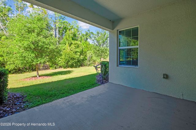 16663 Shell Bay Drive, Land O'lakes, FL 34638