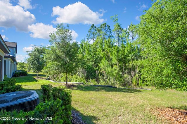 16663 Shell Bay Drive, Land O'lakes, FL 34638