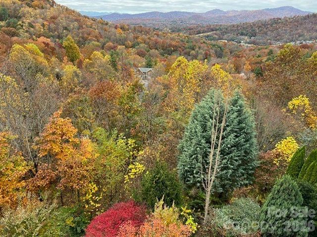 116 Dalya Road, Swannanoa, NC 28778