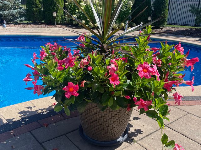 17133 Kerry Avenue, Orland Park, IL 60467