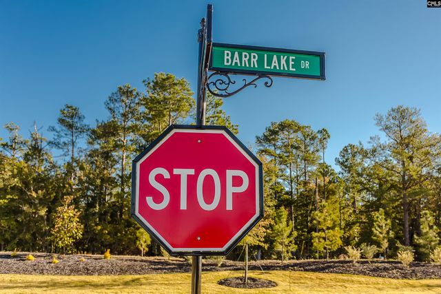 473 Rainbow Shad Way, Lexington, SC 29072