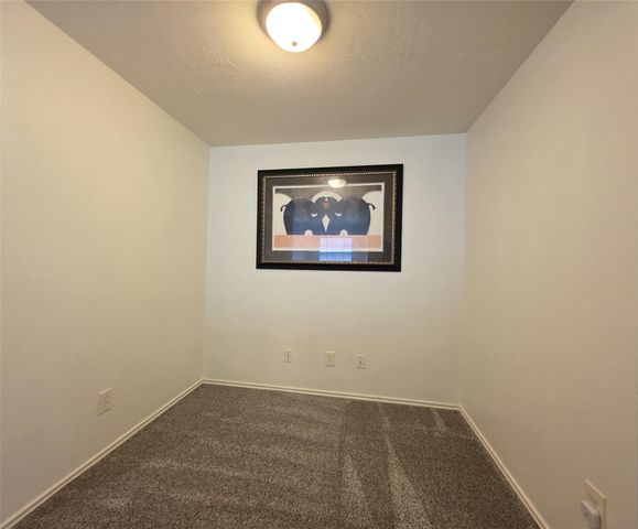 114 E Stedhill Loop, Conroe, TX 77384