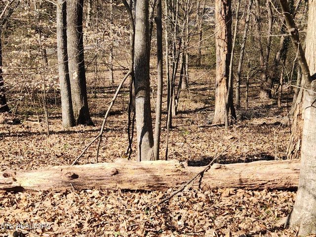 1506 Ridgeway Circle, Athens, TN 37303