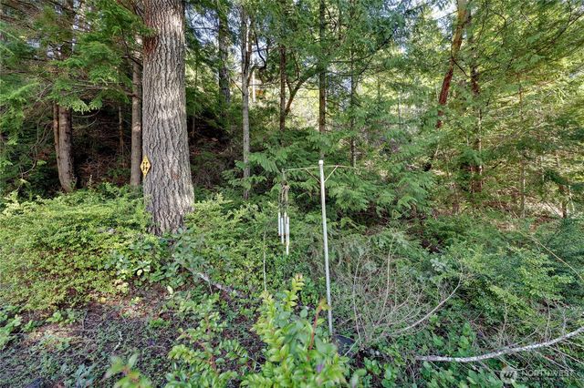170 Cirque Drive, Brinnon, WA 98320