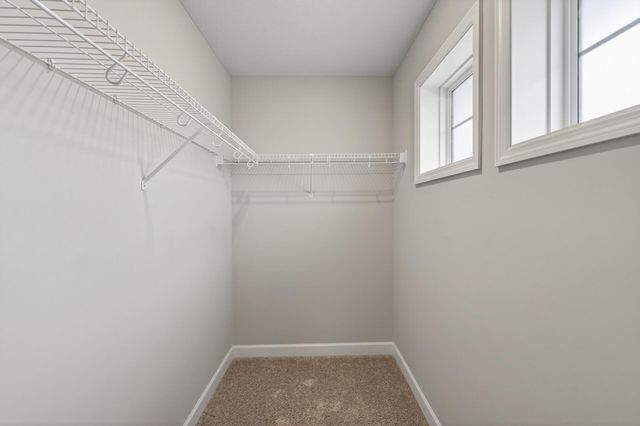 13046 Aulden Avenue, Rosemount, MN 55068