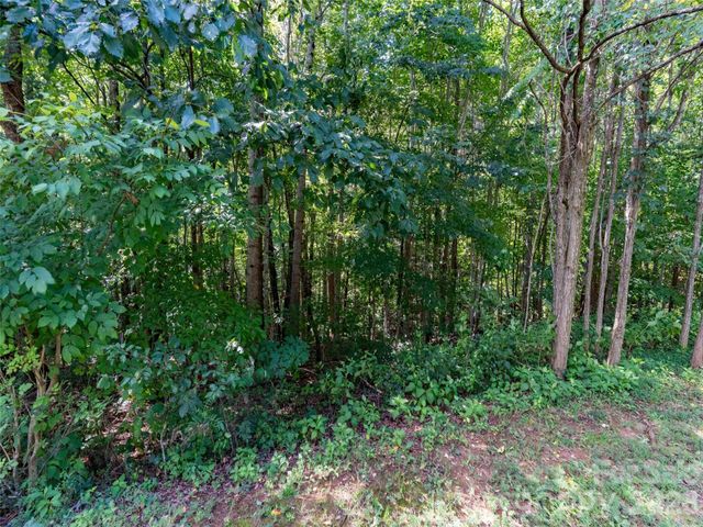 0 Deep Gap Farm Road W 2061, Mill Spring, NC 28756
