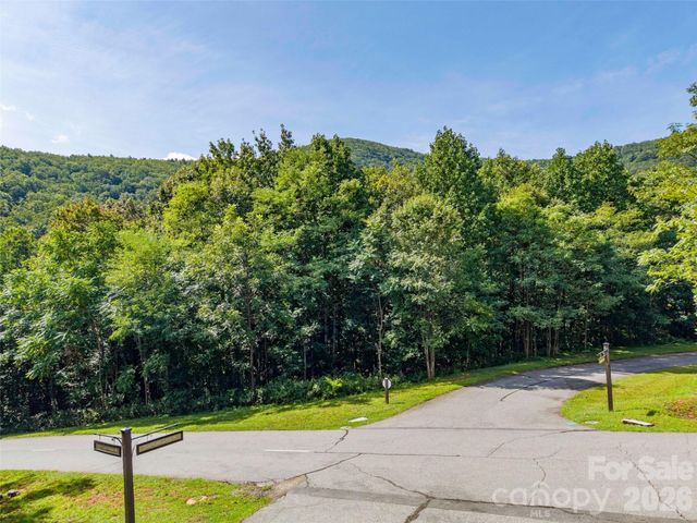 0 Deep Gap Farm Road W 2061, Mill Spring, NC 28756
