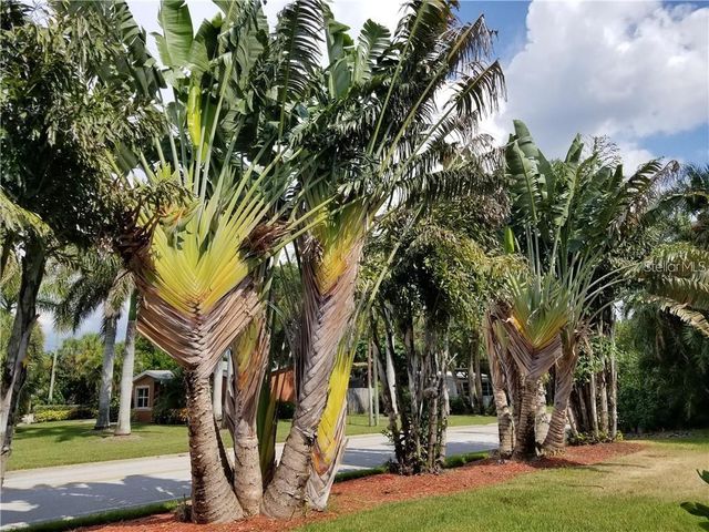 4000 BELLE VISTA DRIVE, St Petersburg, FL 33706