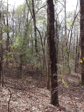 1373 County Road 39 Road, Deatsville, AL 36022