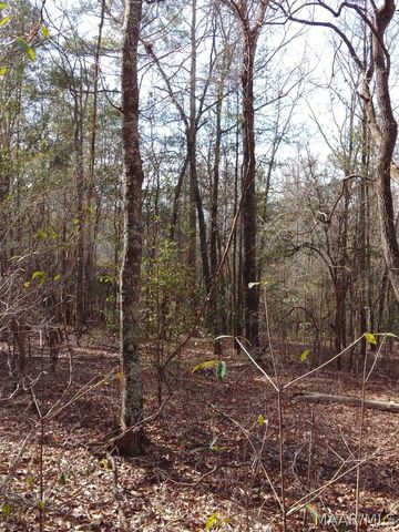 1373 County Road 39 Road, Deatsville, AL 36022