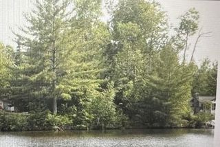 Lot 31 Nokomis Street, Gladwin, MI 48624