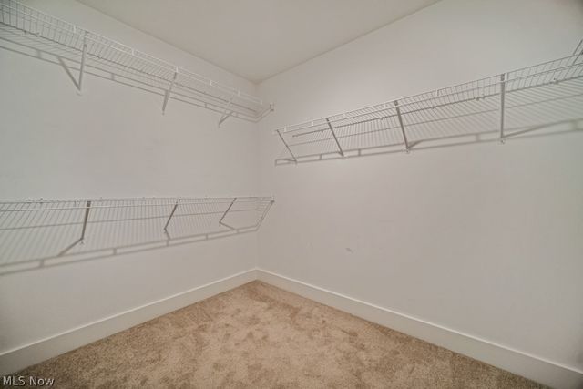 8809 Leatherleaf Drive, Columbia Station, OH 44028