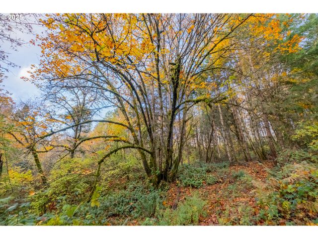 6000 RIVER Rd S, Salem, OR 97302