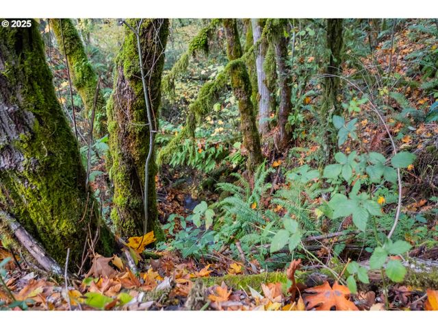 6000 RIVER Rd S, Salem, OR 97302