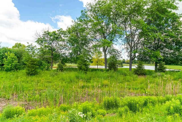 20540 W Spyglass Court, Kildeer, IL 60047