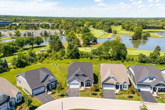 20540 W Spyglass Court, Kildeer, IL 60047