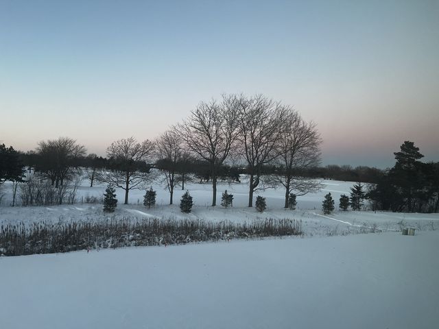20540 W Spyglass Court, Kildeer, IL 60047