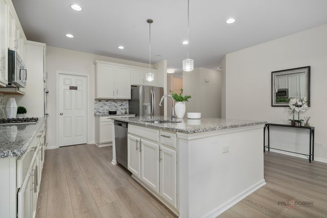 20540 W Spyglass Court, Kildeer, IL 60047