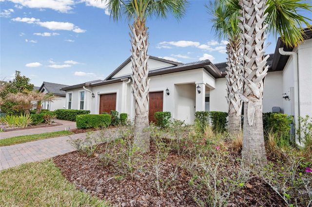 10374 ECHO DOCK LOOP, San Antonio, FL 33576