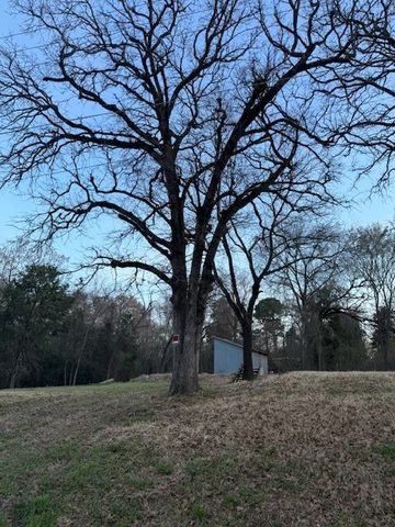 125 Lynn Creek Drive, Mabank, TX 75156