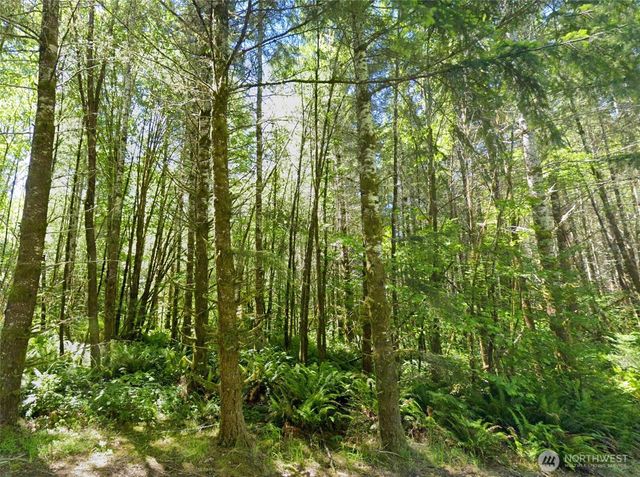 0 Summers Road, Centralia, WA 98531