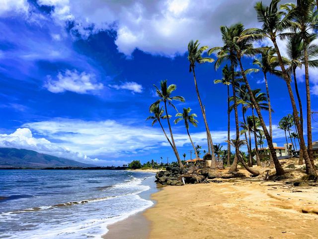 350 Kinaole Cir, Kihei, HI 96753