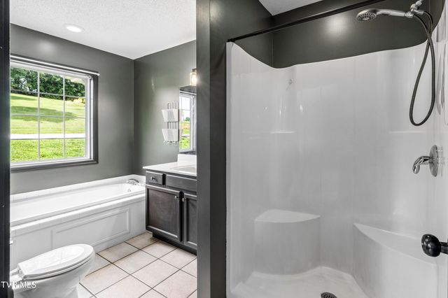 150 West Hills Drive, Mosheim, TN 37818