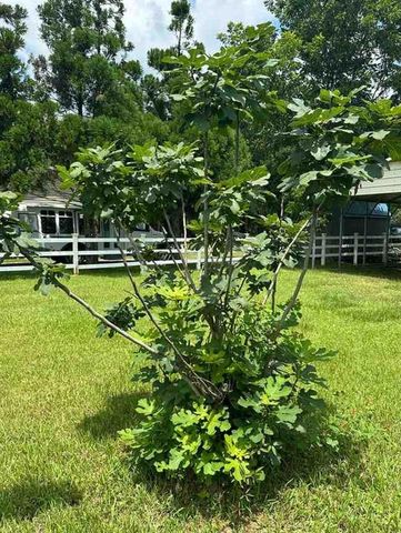 12278 Yancey Glen Drive, Mobile, AL 36695