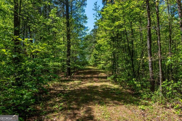 228 Grey Squirrel Point, Talking Rock, GA 30175